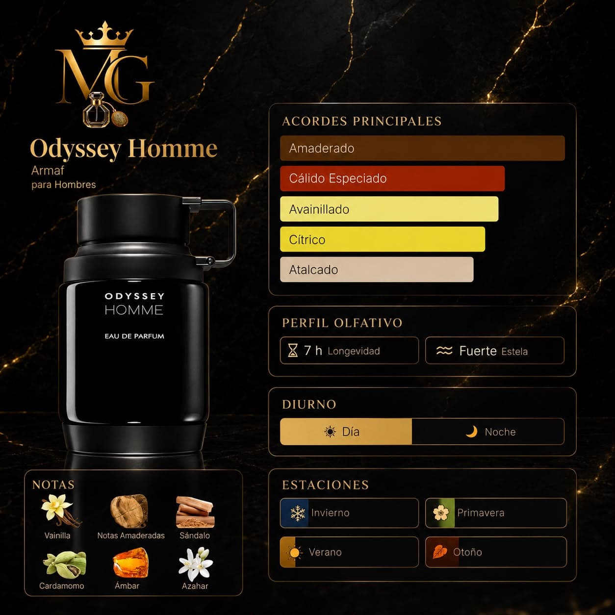Odyssey Homme
