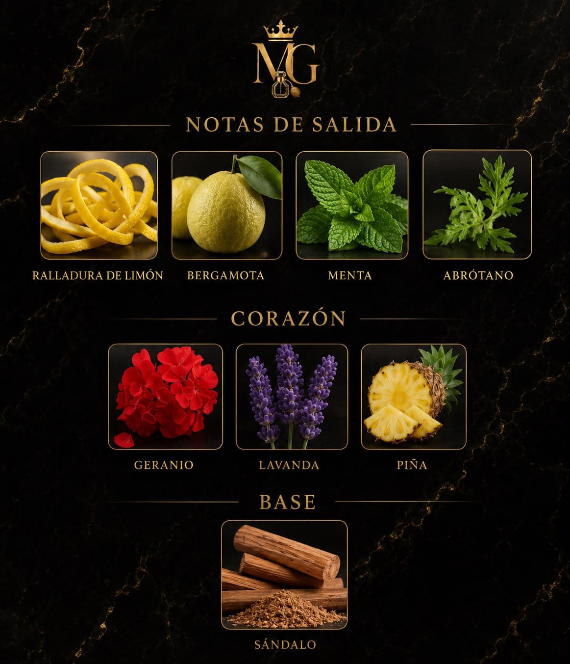 Nocturno Elixir