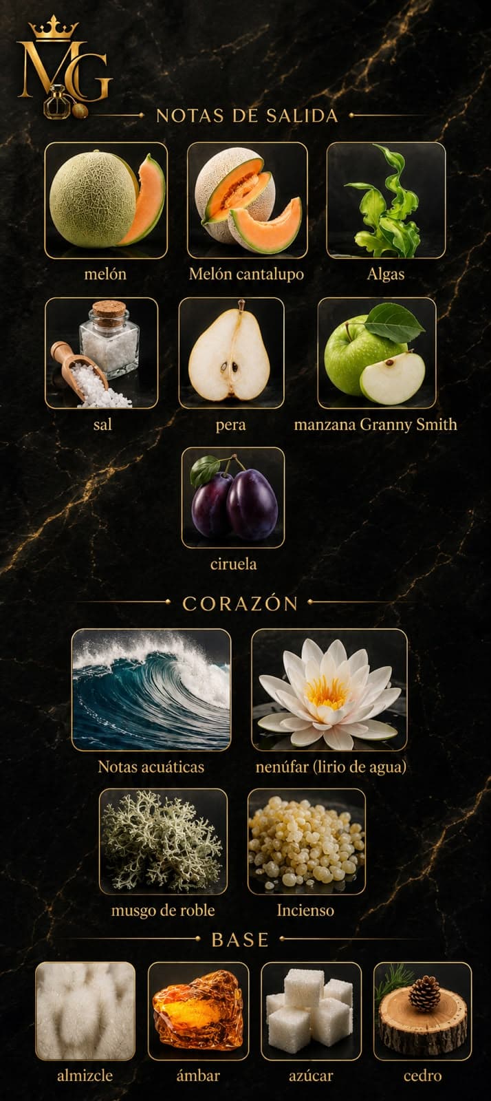Odyssey Ba Ha Mas
