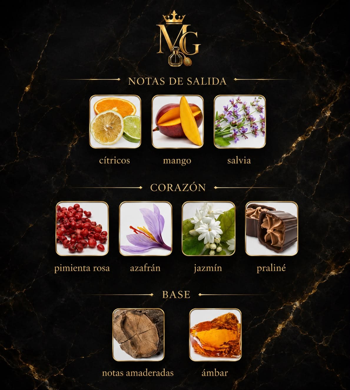 Amalia Solaris